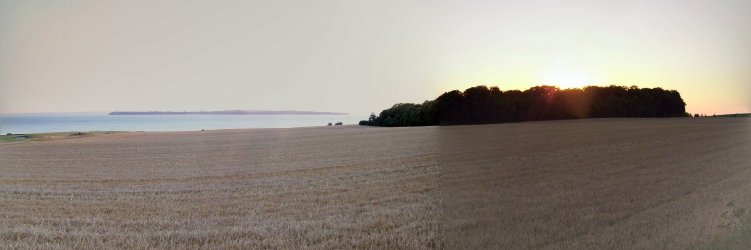 Header Image