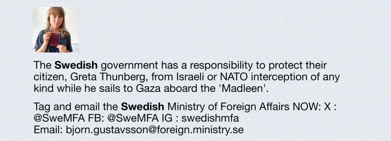 En uppmaning på sociala medier att kontakta svenska UD och kräva skydd för Greta Thunberg när hon närmar sig Gaza.