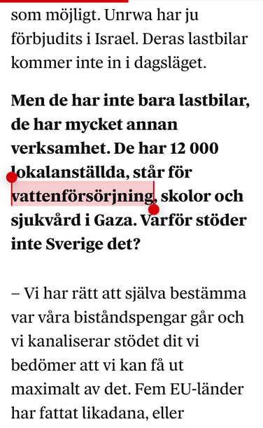 Skärmdump från intervju med Benjamin Dousa.