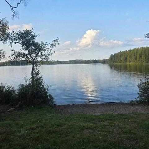 En ganska blank sjö under en blå himmel med bara några få fluffiga moln en solig sensommardag. I förgrunden anas sand ner mot vattnet. Bilden kantas av gröna granar och lövträd.