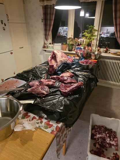 Flera olika delar av ett vildsvin, samt bröstkorgen som ännu inte blivit revbensspjäll.