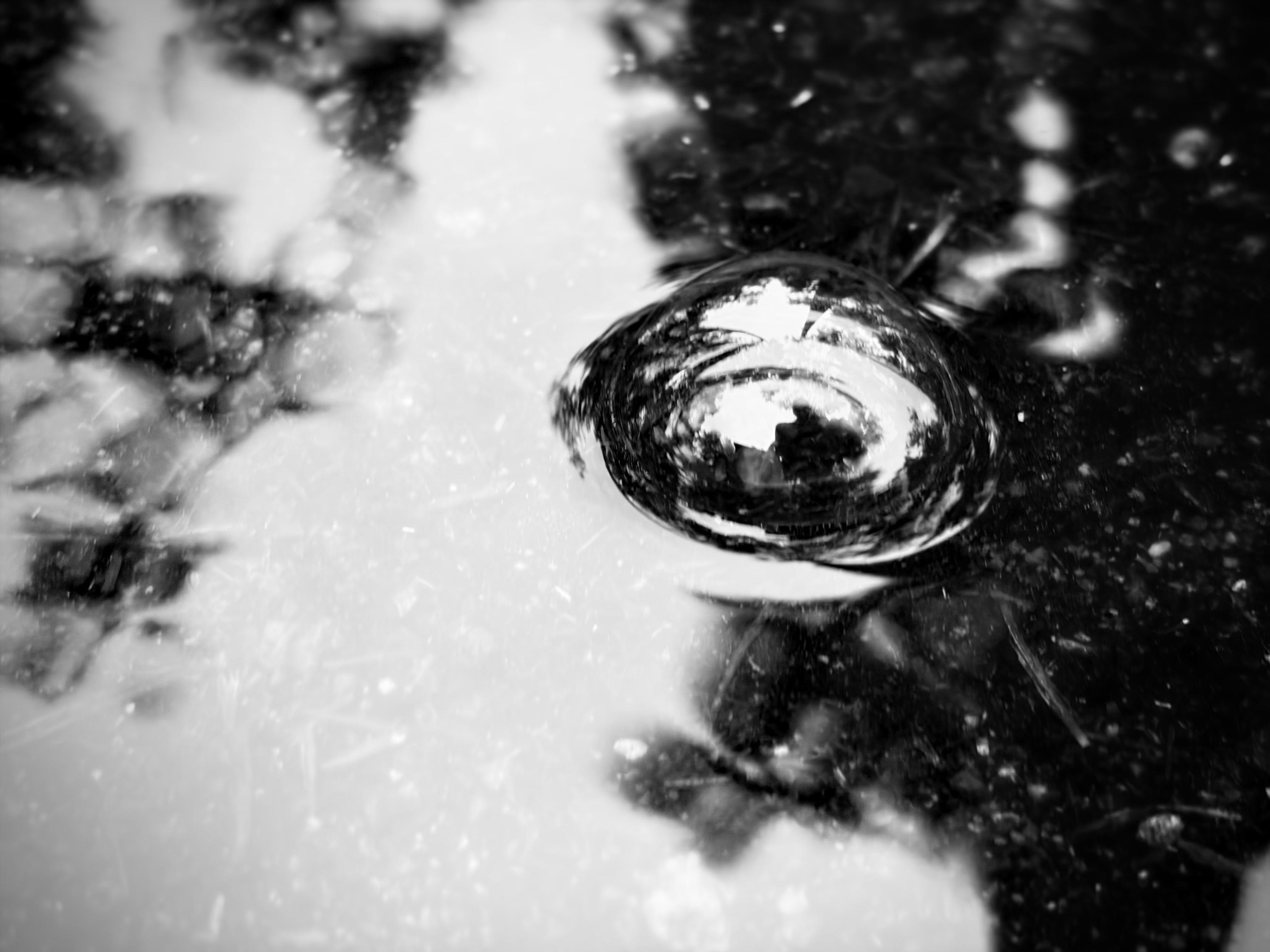 Black and white photo of a bubble in a rainy puddle