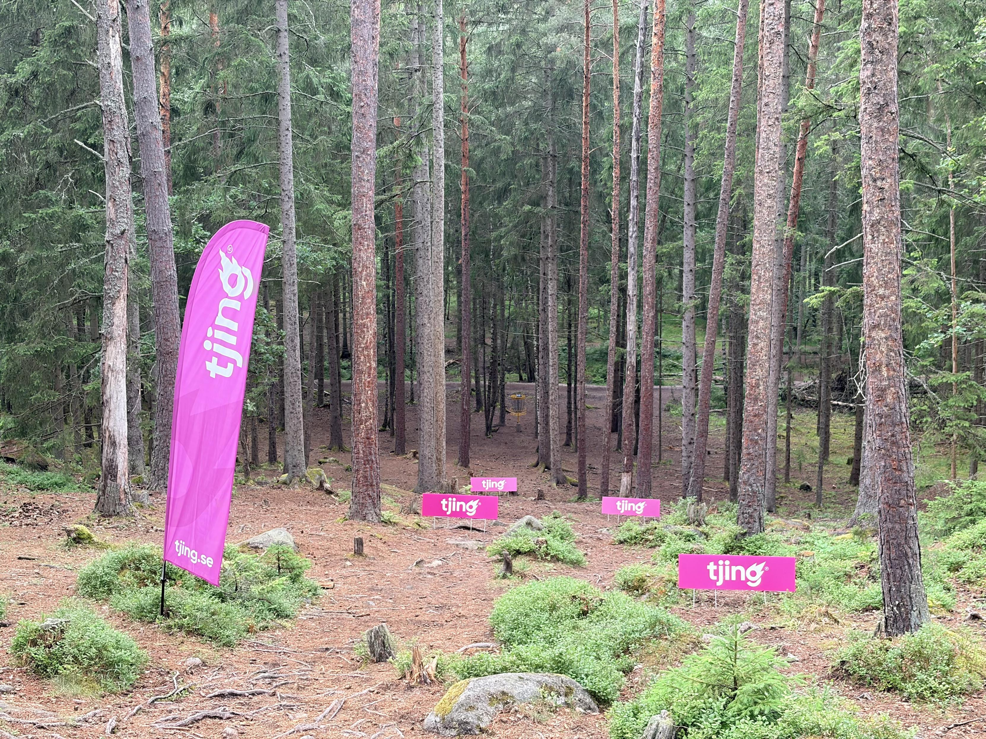 Discgolf hole with commercial banners and lots of trees