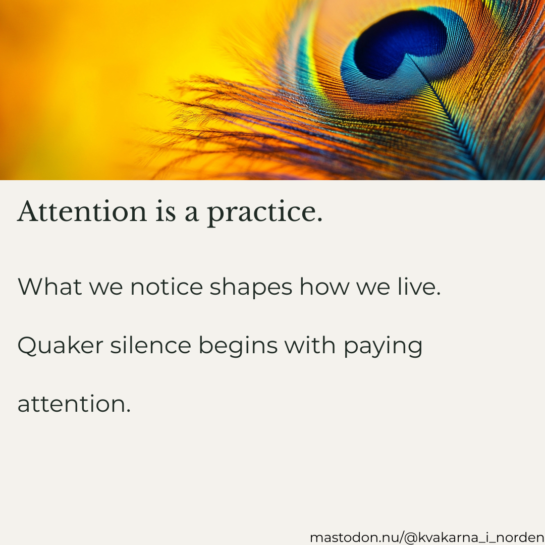 ​Graphic featuring a vibrant, close-up image of a peacock feather eye against a warm, blurred golden-yellow background. Below the image, dark text on an off-white background reads: "Attention is a practice. What we notice shapes how we live. Quaker silence begins with paying attention." In the bottom right corner, a small watermark reads "mastodon.nu/@kvakarna_i_norden".