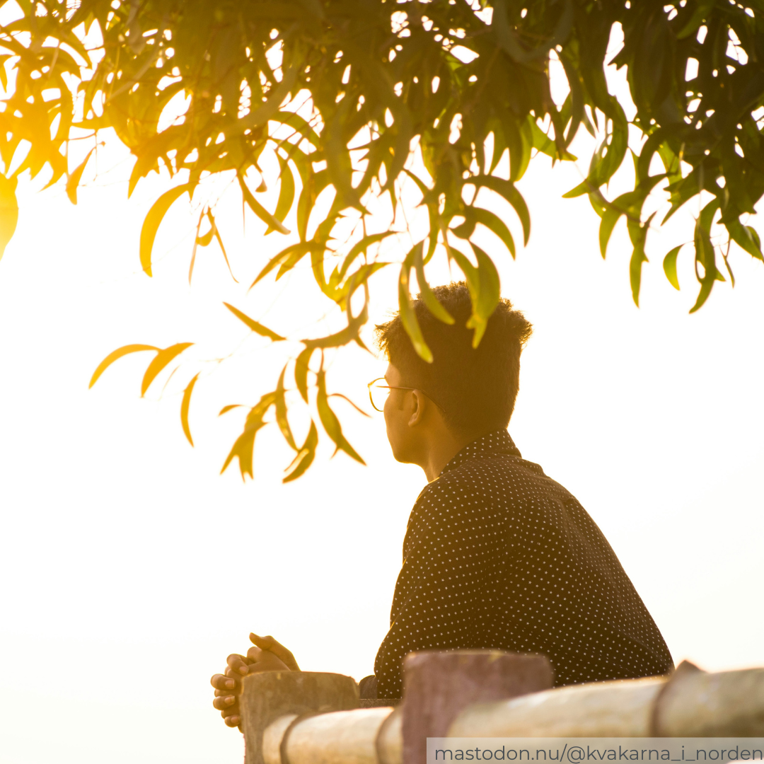​A profile view of a young person wearing glasses and a dark, polka-dotted shirt, leaning against a wooden railing and looking out into a bright, golden-lit background. They are sitting under the overhanging branches and leaves of a tree, which are beautifully backlit by the warm, glowing sunlight. In the bottom right corner, a small watermark reads "mastodon.nu/@kvakarna_i_norden".