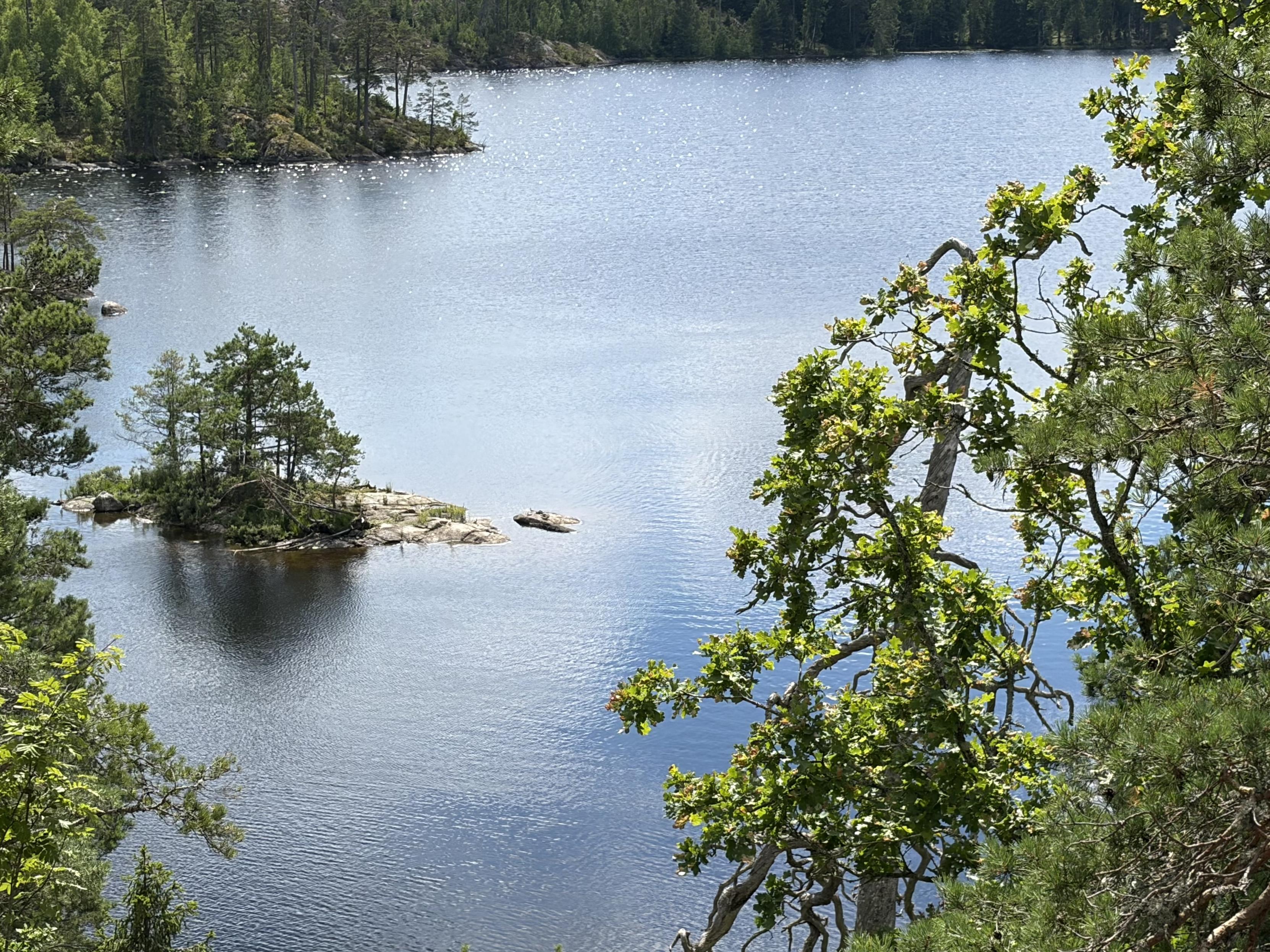 Small island in a forest lake seen from a vantage point