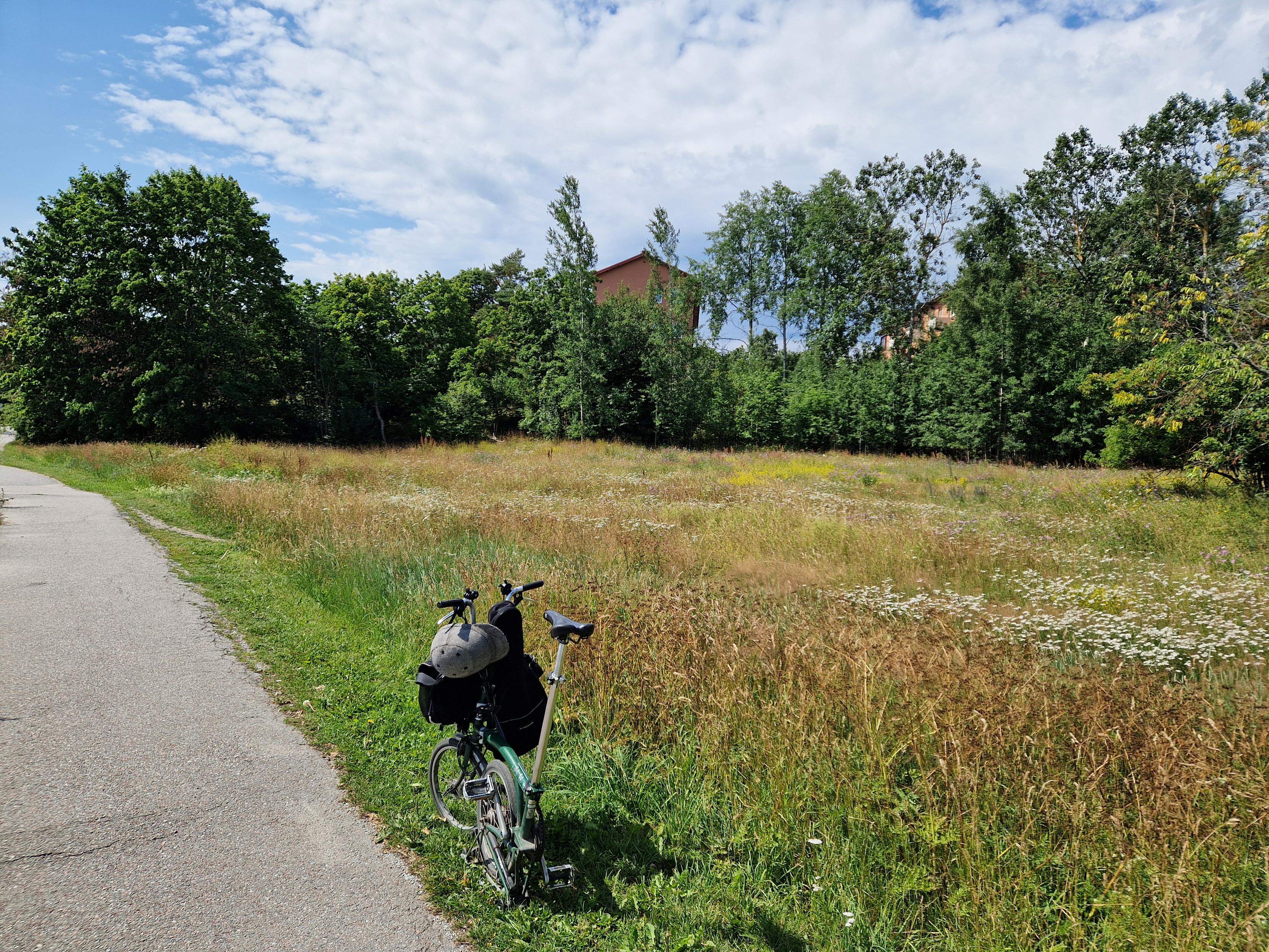 Grön Bromptoncykel på den klippta kanten mellan g/c-väg och äng. I bakgrunden några träd och ett par knappt synliga hus.