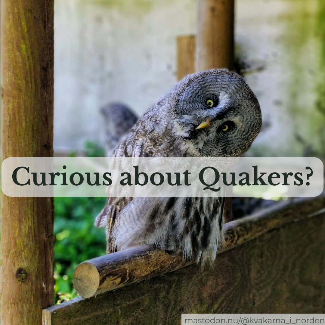 A close-up shot of a great grey owl perching on a wooden railing, comically tilting its head far to the side with wide, yellow eyes. A semi-transparent white box is overlaid across the middle with the text "Curious about Quakers?". A subtle watermark in the bottom right reads "mastodon.nu/@kvakarna_i_norden".