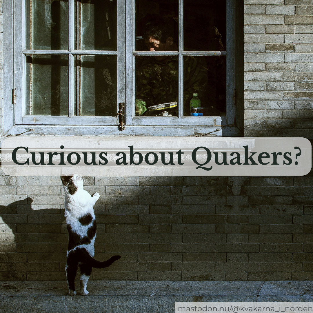 A black-and-white patched cat stands on its hind legs to peer inside a multi-paned window of a brick building, where a person can be seen sitting inside. Running horizontally across the center is a semi-transparent white box with the question "Curious about Quakers?". A subtle watermark in the bottom-right corner reads "mastodon.nu/@kvakarna_i_norden".