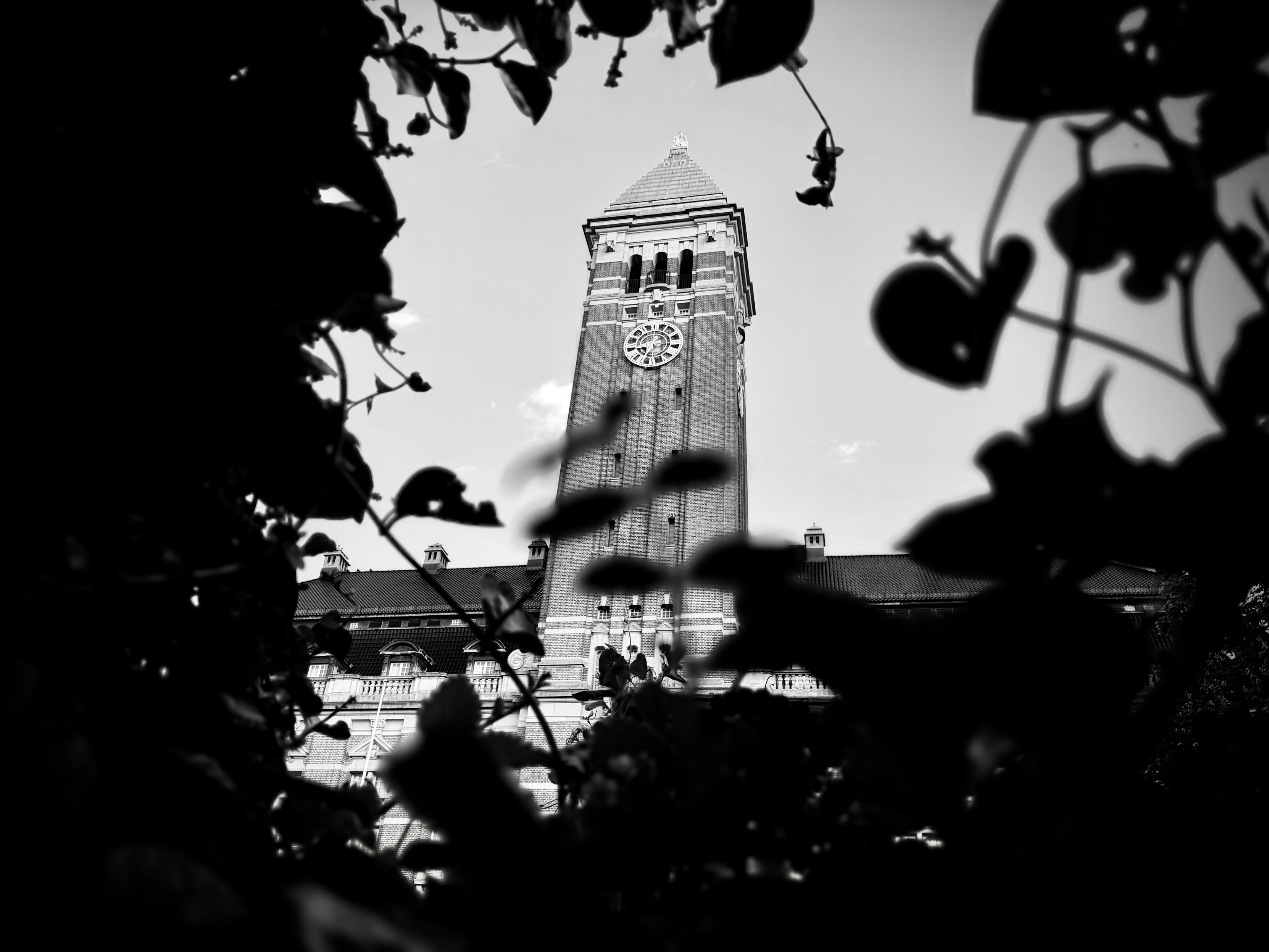 Clock tower seen through dark leaves