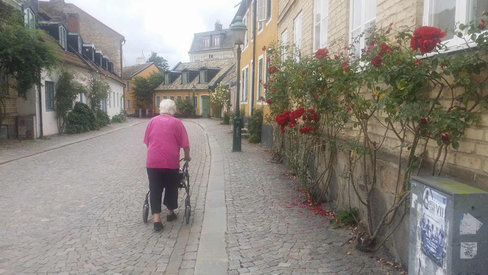 Old lady with walker on a small street with cobblestone and old houses with hollyhocks.