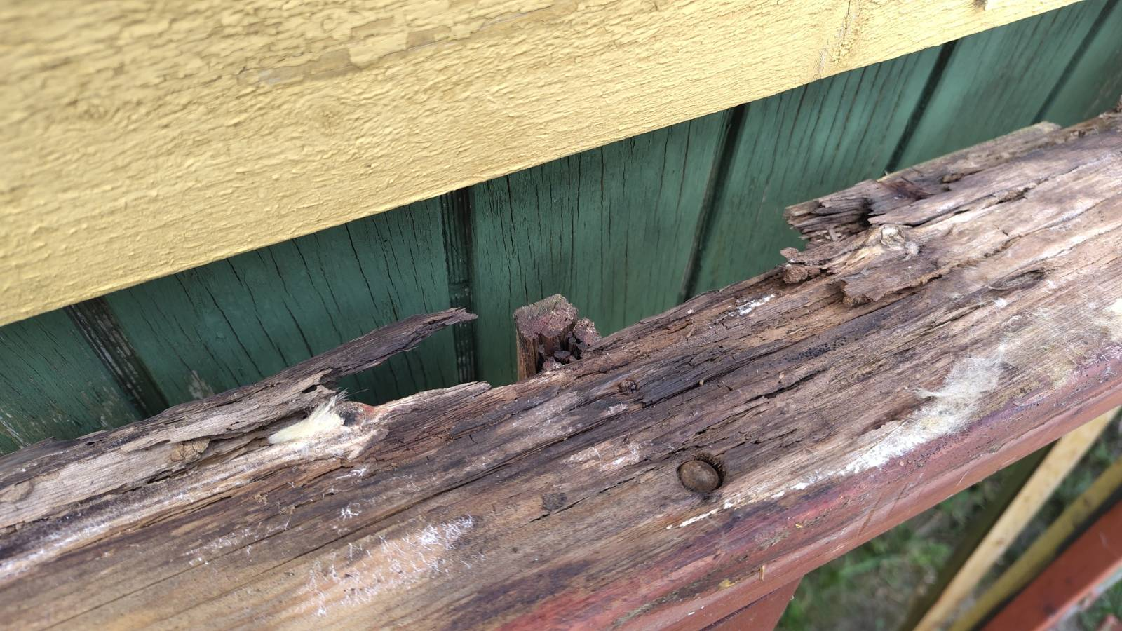 A sad window frame with parts rotting out