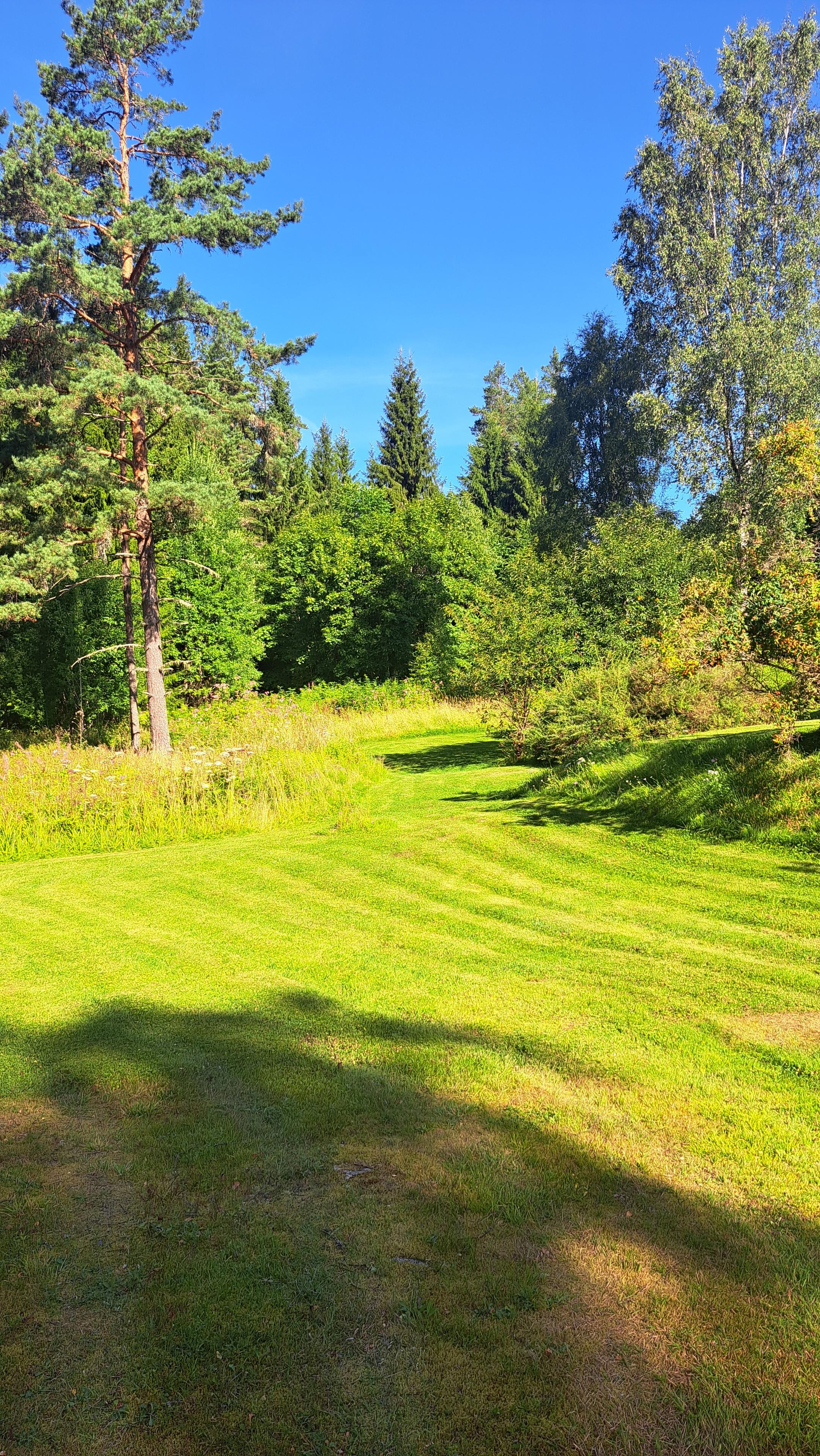 En nyklippt gräsmatta i förgrunden med träd i bakgrunden.