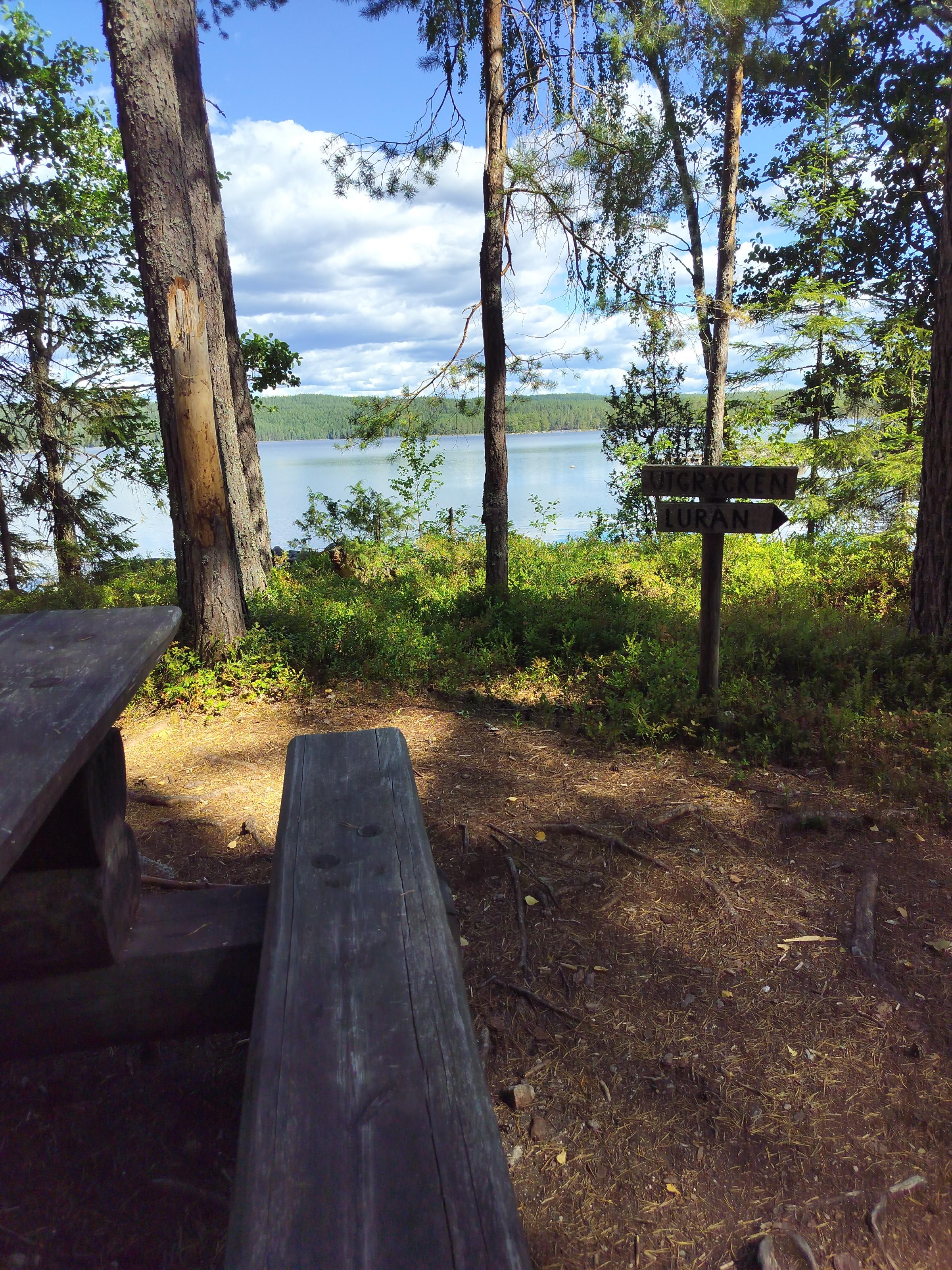 Utsikt mot sjön Utgrycken med lite träd i förgrunden,